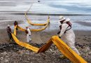 California must fight Trump’s new offshore drilling plans