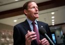 Sen. Blumenthal urges AI oversight as Trump admin