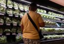 Record U.S. cyclosporiasis outbreak is over, CDC says