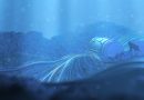 The race to secure the ocean floor