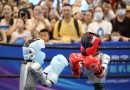 China’s criteria for humanoid robot IPOs may be hard to meet