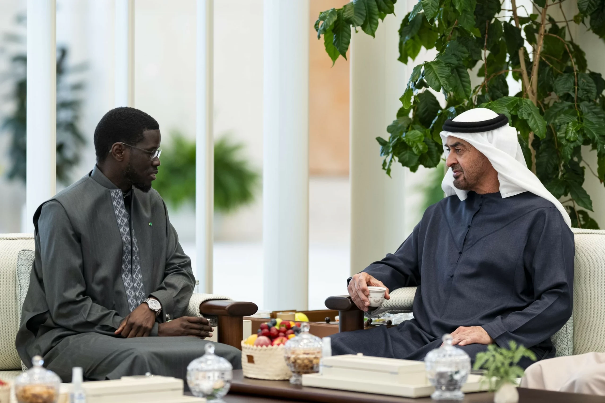 UAE, Senegalese Presidents discuss strengthening bilateral ties
