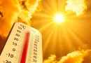 Summer heatwaves cost Germany €25 billion