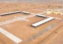 Sharjah announces completion of camel marketplace in Al D…