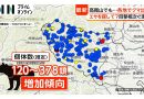 Bear Sighting Raises Alarm at Popular Tokyo Hiking Spot