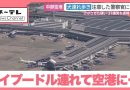 Police Injured in Toy Poodle Trouble at Chubu Airport