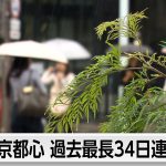 Tokyo Sets All-Time Record With Rain for 34 Straight Days
