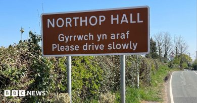 Flintshire village changes name to Pentre Moch – meaning Pigs Village