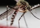 ‘Disfiguring’: Behind the growing spread of a flesh-eating ulcer