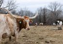 CT farmers protested tax hikes. This working group offers a solution