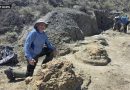 WATCH:  High school teacher discovers T. rex tracks in North Dakota