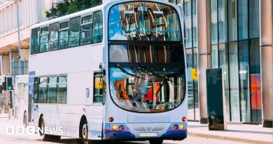 Bus service halted in Viewpark after four attacks in two hours