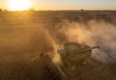 ‘Missed opportunity’: US soybean farmers question exclusion from China tariff cuts