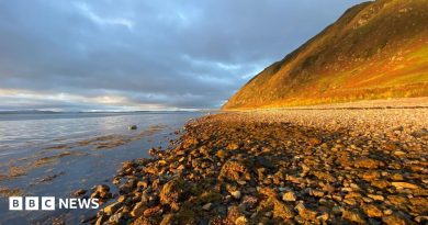 Your pictures of Scotland: Photographs from around the country