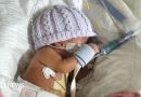 Delay to neonatal reform is putting babies at risk, warn doctors