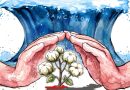 US sanctions forced Xinjiang cotton to adapt, but survival comes at a cost