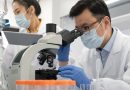 US sanctions boost China’s science-driven innovation by over 70%, study finds