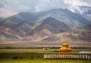 Scientists trace half the DNA in Xinjiang’s oldest tombs to Yellow River farmers
