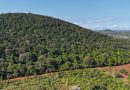 How Kenya’s sacred Mrima Hill became new front in US-China minerals rivalry