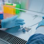 AI Models Built From Rat Brains Just Got Closer to Reality