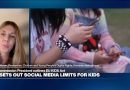 'The harms have come to outweigh the benefits' of social media, researcher says
