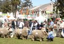 Argentina Protests to Uruguay Over Expo Prado Show