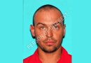 Person of interest arrested after 4 killed in Louisiana stabbings – National