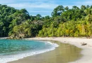 Bringing Your Pet to Costa Rica: SENASA Rules 2026