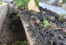 destruction of Mijas’s green spaces « Euro Weekly News
