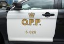 California resident dead after vessel capsizes on Georgian Bay: OPP