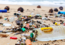 Mallorca beach clean-up « Euro Weekly News