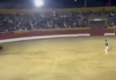 Horror as bull charges performer at exact moment Spanish bullring plunges into darkness « Euro Weekly News