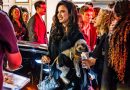 TIFF 2026 Blurs the Line Between Fandom and Industry