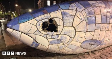 Big Fish: Man charged in connection with damage to Belfast sculpture