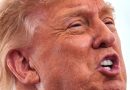 Trump says Canada ‘wants to make a deal very badly’ – National