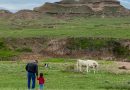 Weld County approves $1.7B green energy project across active ranchland