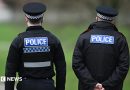Man arrested after teen stabbed in Royal Wooton Bassett cemetery