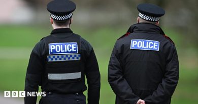 Man arrested after teen stabbed in Royal Wooton Bassett cemetery