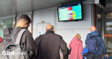 UK flight delays continue after issue with air traffic control in Scotland is resolved