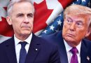 Canada says it can ‘pivot and prosper’ without the US. But at what cost?