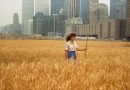 Five Artists Who Treat the Earth as Both Medium and Beneficiary