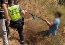 Petrol thieves in Spain see their getaway go spectacularly wrong