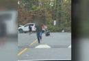 B.C. driver helps save man from knife-wielding suspect in Surrey park – BC