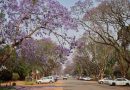 Munhumutapa Day Shuts Zimbabwe on the President’s Birthday
