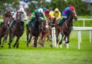 Racehorse forced to change its name after officials spot a very unfortunate problem « Euro Weekly News