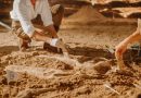 This dinosaur was only supposed to exist in North America — so why is it in Spain? « Euro Weekly News