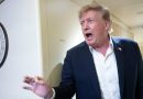 ‘Hoax’: Trump dismisses warnings that AI could destroy humanity