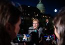 Democratic advisers are warning their candidates not to go too hard at AI