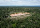 Peru faces human rights court over protections for isolated Indigenous peoples