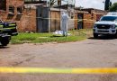 South African police issue alert after seventh woman’s body found near Johannesburg